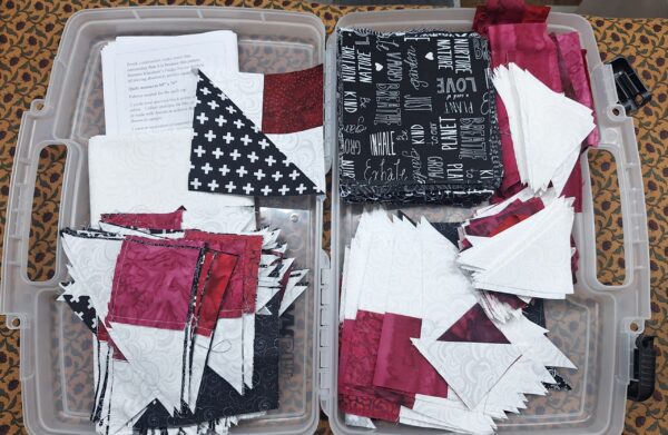UFO Open Sew Day Jun 20 9:30 AM - 4:00 PM