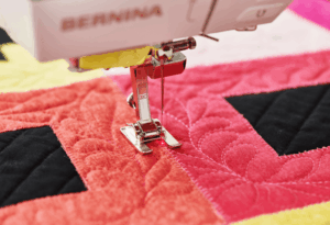 WAUKESHA - BERNINA Top of the Line Mastery for 790 Plus/Pro, 880 Plus or 990s Nov 20 10:00 AM - 3:30 PM