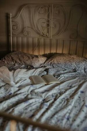WAUKESHA - Sleep in Your Own Bed Quilt Retreat Feb 12 12:00 PM - 11:00 PM