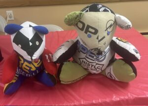 WAUKESHA - Memory Bear Jan 23 and Jan 30 1:00 PM - 4:00 PM